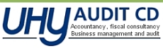 UHYAuditCD Logo