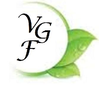 VGFoundation Logo