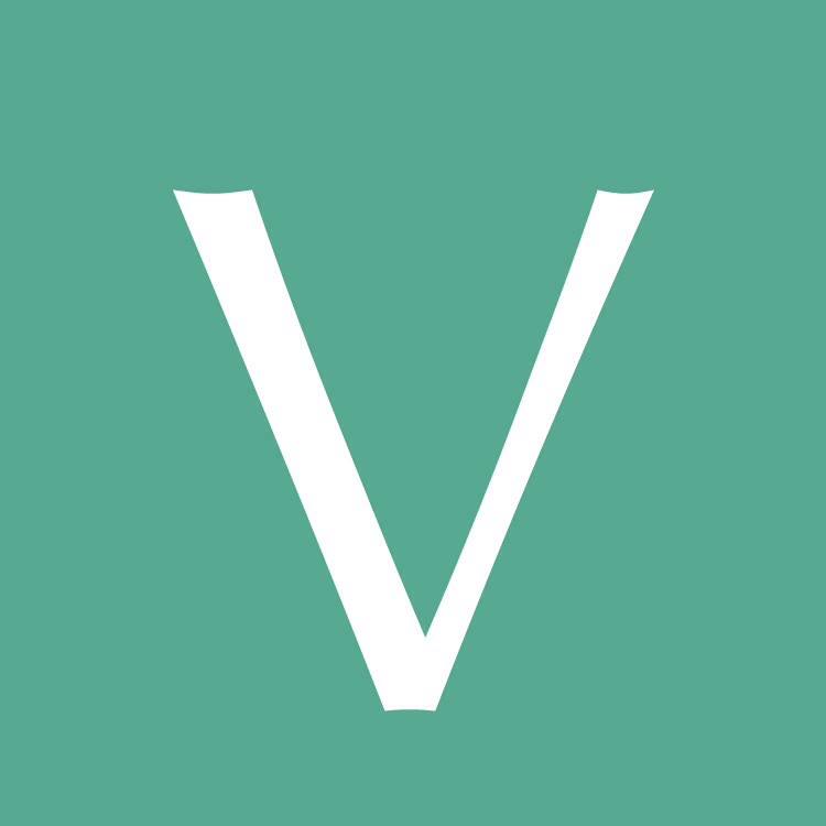 VGMedia Logo