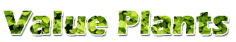 ValuePlants Logo