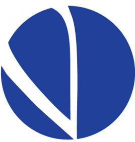 VarianceDP Logo