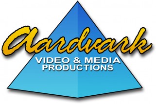 VideoLasVegas Logo