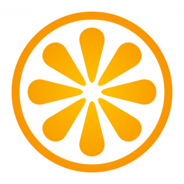 VisitBasis Logo