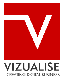 Vizualise Logo