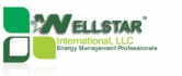 Wellstar Logo