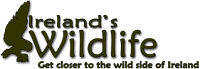 WildIreland Logo