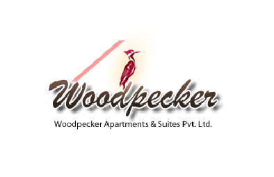 Woodpeckerdelhi Logo