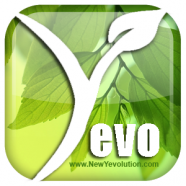 YevoInternational Logo