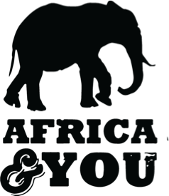 africaandyou Logo
