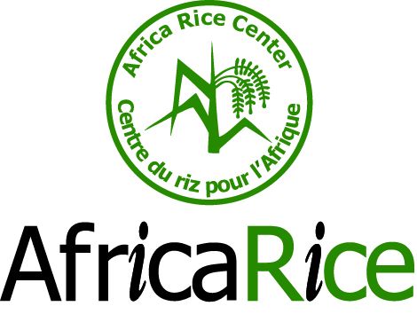 africarice Logo