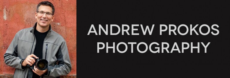 andrewprokosphoto Logo