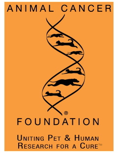 animalcancerfnd Logo