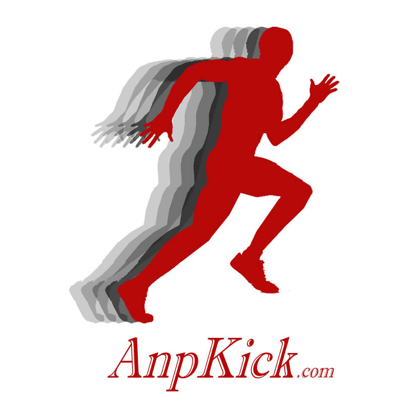 anpkick Logo