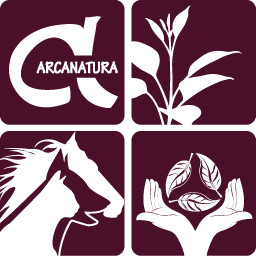 arcanatura Logo