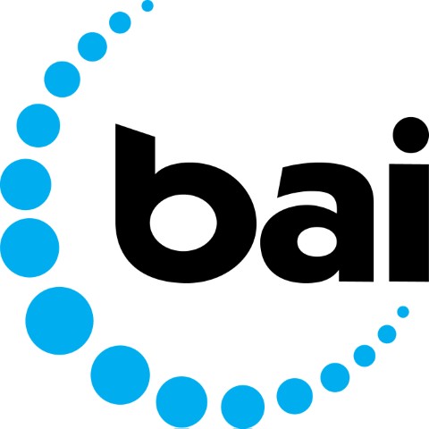 baigroup Logo