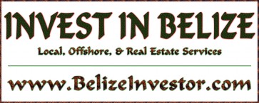 belizeinvestor Logo