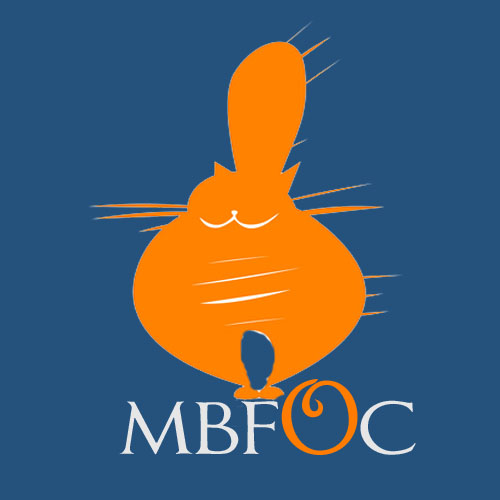 bigfatorangecat Logo