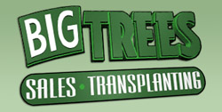 bigtreesupply Logo