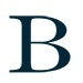 bishnoivillage Logo