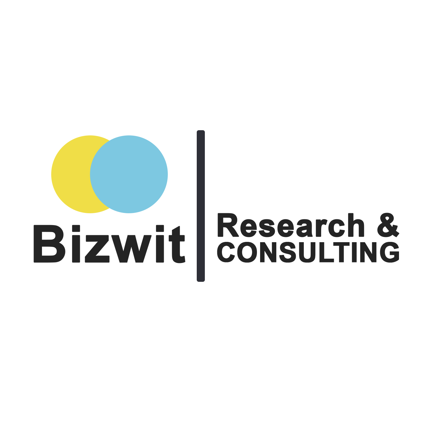 bizwitresearch Logo