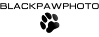 blackpawphoto Logo