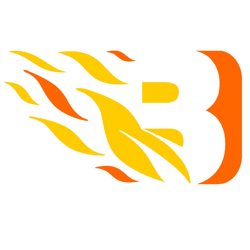 blaze-wireless Logo