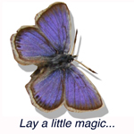 bluebutterfly Logo