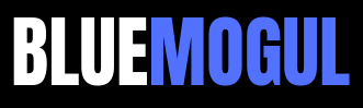 bluemogul Logo