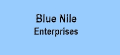 bluenile1 Logo