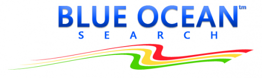 blueoceansearch Logo