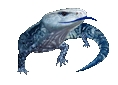 bluetongue1 Logo