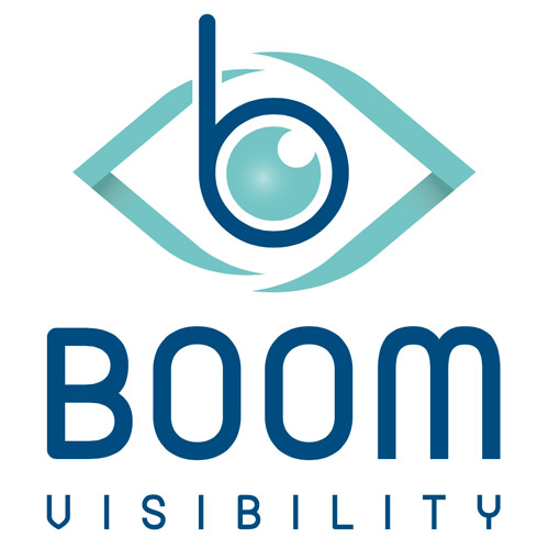 boomvisibility Logo