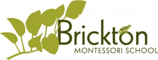 brickton Logo