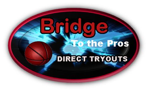 bridgetothepros Logo