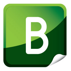 brillbranding Logo