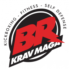 brkravmaga Logo