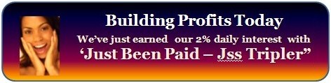 buildingprofitstoday Logo