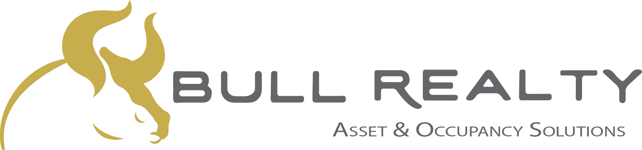 bullrealtyinc Logo