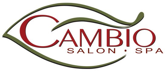 cambiosalon Logo