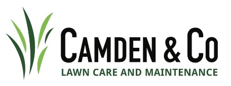 camden-and-company Logo