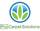 carpetcleanerservice Logo