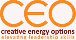 ceoptions Logo