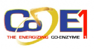 coe1energy Logo