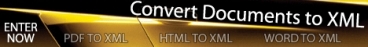 converttoxml Logo