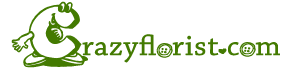 crazyflorist Logo