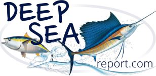 deepseareport Logo