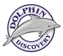 dolphindiscoverynews Logo