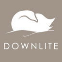 downlite Logo