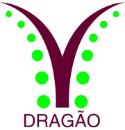 dragaoporto Logo