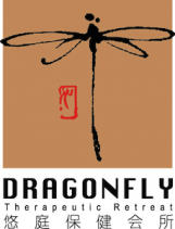 dragonfly Logo